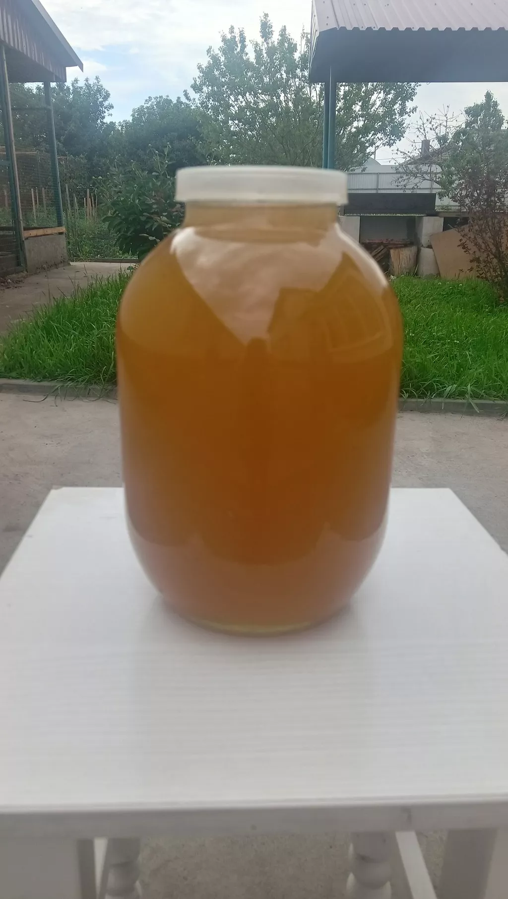 майский мед 2024 года с личной пасеки в Орле и Орловской области 2